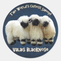 Valais Blaccusé - Sticker à mouton le plus crousti