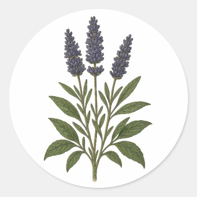 Rond Vintage Lavender Sticker - round (Devant)