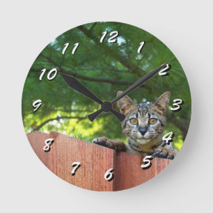 Ronde 12 Nombre de choix à choisir : horloge de chat