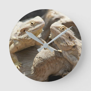 Ronde Horloge barbue de dragon de temps de lézard