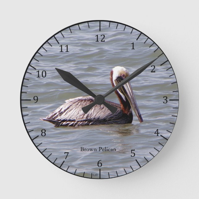 Ronde Horloge Brown du Pélican (Recto)