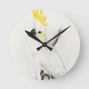 Ronde Horloge crêtée jaune de cacatoès