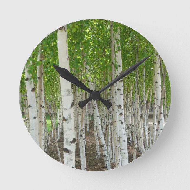 Ronde Horloge d'arbre de bouleau (Recto)