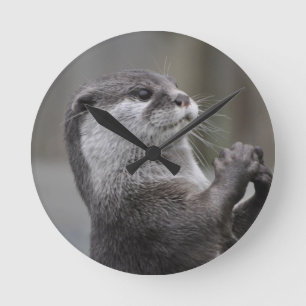 Ronde Horloge de cerveau de loutre