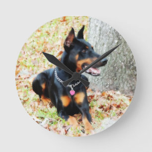 Ronde Horloge de dobermann
