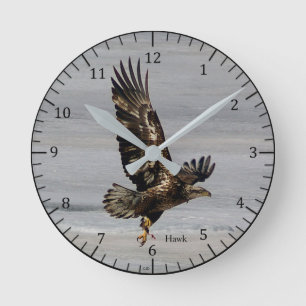Ronde Horloge de faucon