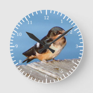 Ronde Horloge de la grange Swallow