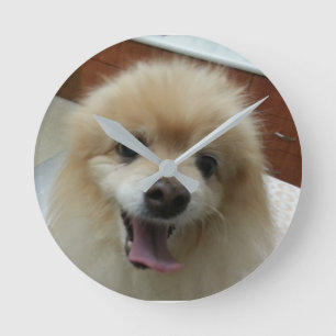 Ronde Horloge de Pomeranian