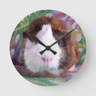 Ronde horloge de porc de Guinée