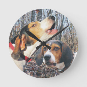 Ronde Horloge de région boisée de Coonhound de marcheu