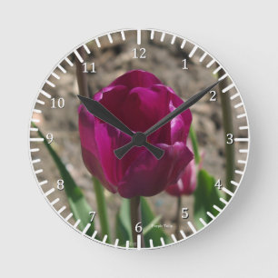Ronde Horloge de Tulipe pourpre
