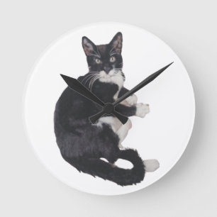 Ronde Horloge de Tuxedo noir et blanc