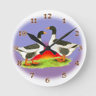 Ronde Horloge des oies de Poméranie