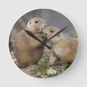 Ronde Horloge Kiss me Quick