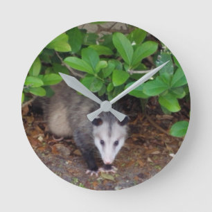 Ronde Horloge Mur Acrylique Possum