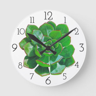Ronde Horloge mural Succulente Rosette