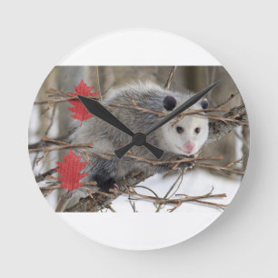 Ronde Horloge Opossum