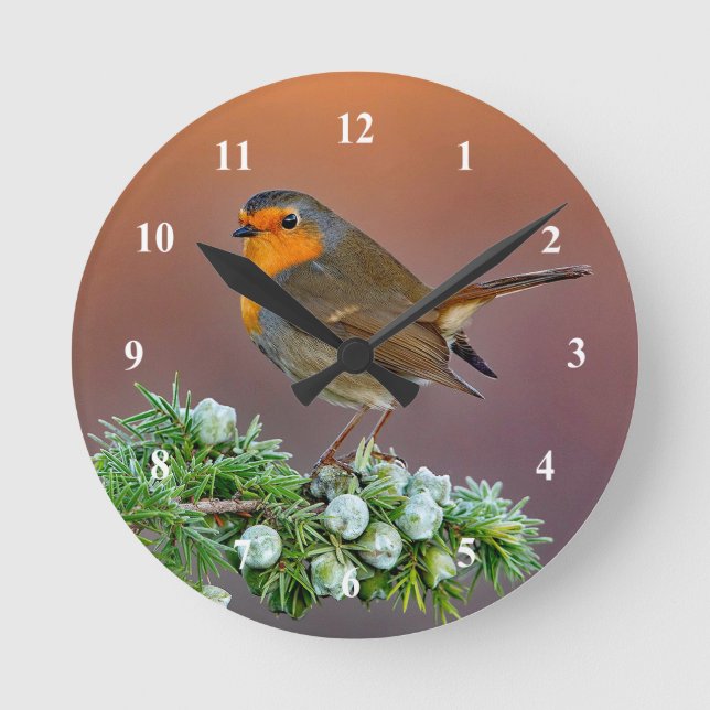 Ronde Horloge Robin (Recto)