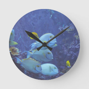 Ronde Horloge tropicale de poissons