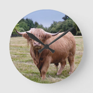 Ronde Horloge Vache des Highlands