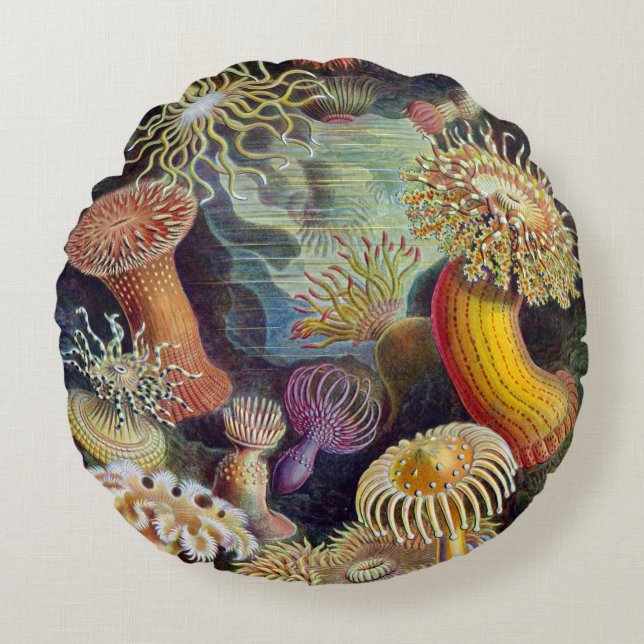 Ronds Haeckel ~ Coussins d'anémones de mer (Devant)