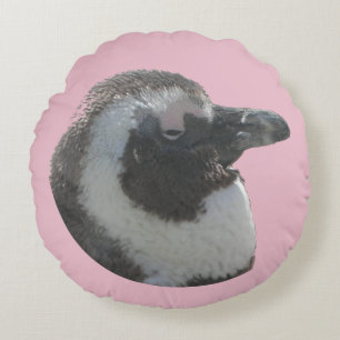 Ronds Pingouin d'Afrique du Sud. Coussins rond