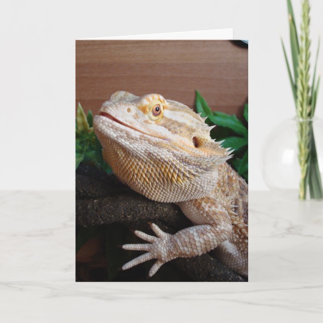 Ronnie Karte (Vorderseite)