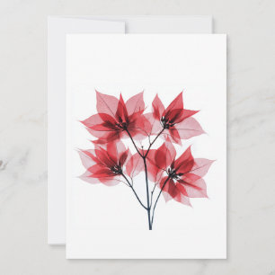 Röntgen Red Poinsettia Weihnachten