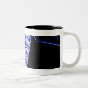 Röntgen Sie Bild der Knochen des Halses Zweifarbige Tasse