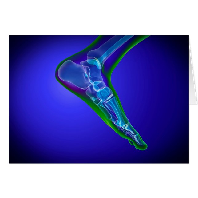 Röntgenaufnahme des menschlichen Fußes 1 (Vorderseite (Horizontal))