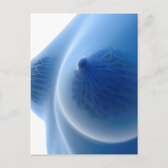 Röntgenbild der weiblichen Brustanatomie Postkarte (Vorderseite)