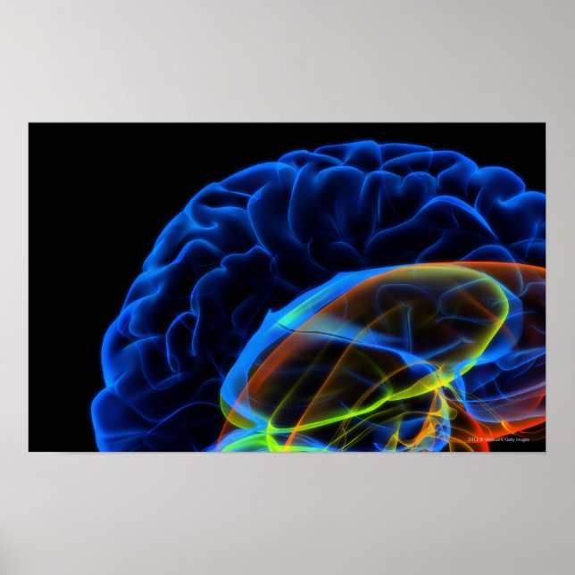 Röntgenbild des Gehirns Poster (Vorne)
