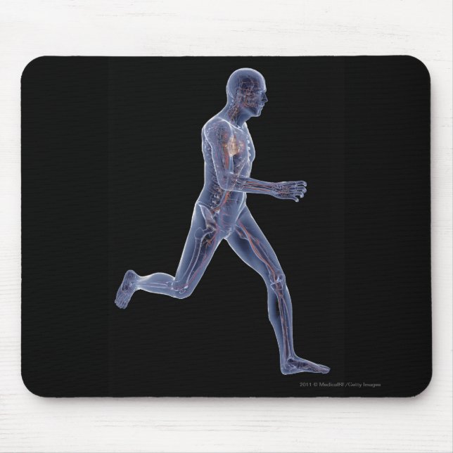 Röntgenstrahl des Gefäßsystems in einem laufenden Mousepad (Vorne)