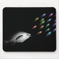 RÖNTGENSTRAHL-FISCH-VERFOLGUNG - REGENBOGEN