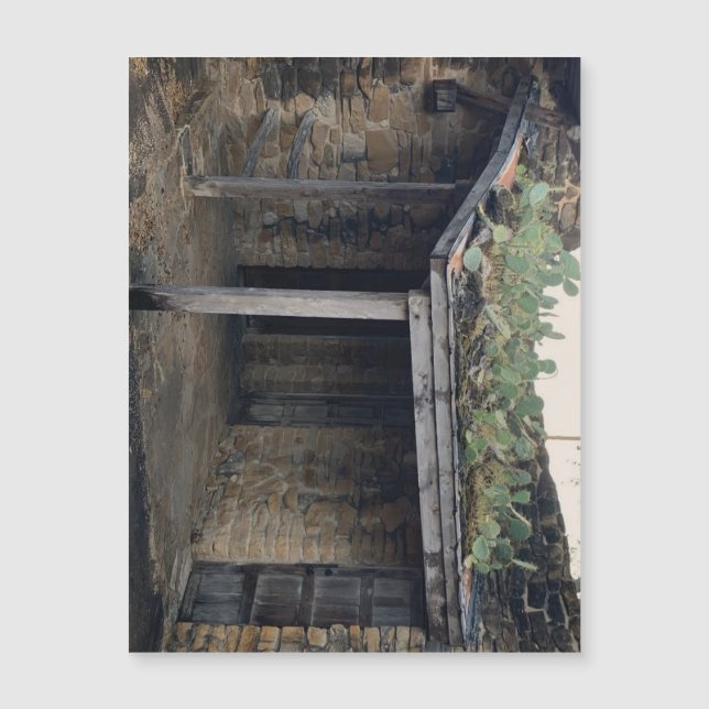 Roof Cactus Magnet (Vorderseite)