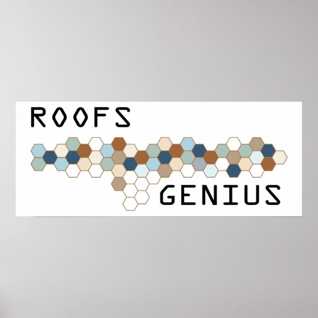 Roofs Genius Poster (Vorne)