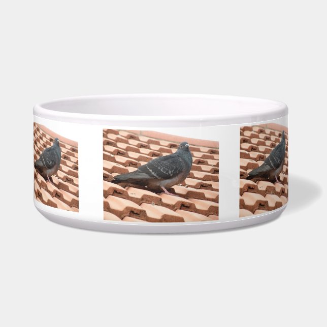 Rooftop Pigeon Dog Bowl Napf (Vorderseite)