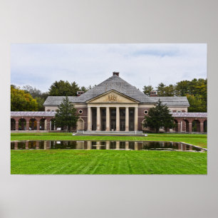 Roosevelt Bäder und Spa-Gebäude, New York Poster