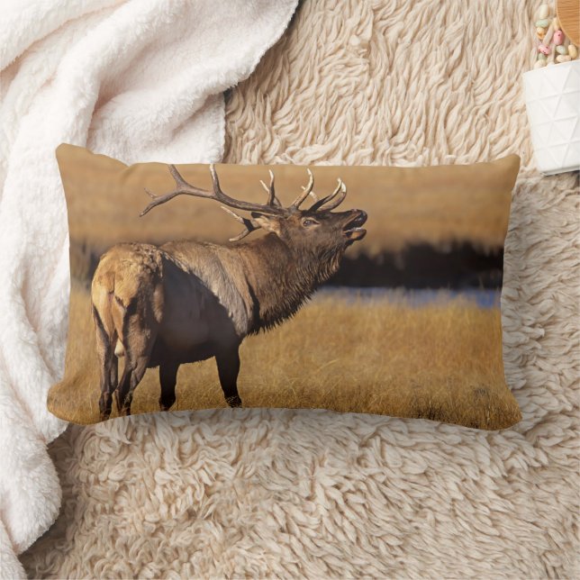 Roosevelt Eull Elk Wyoming Lendenkissen (Decke)