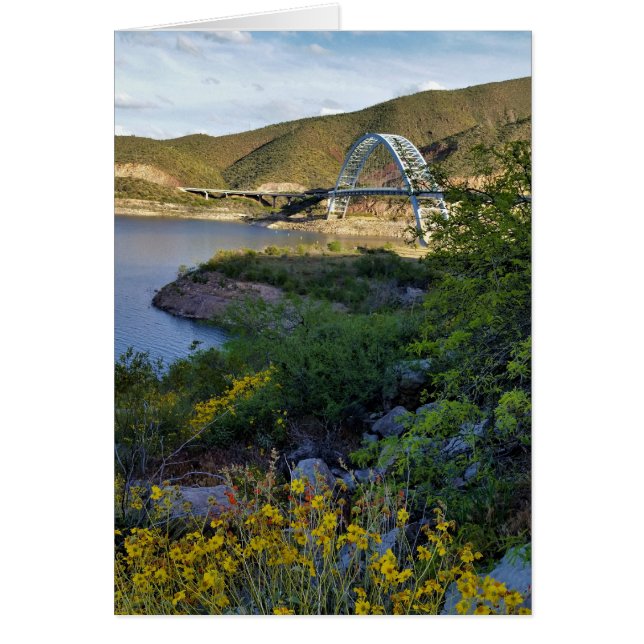 Roosevelt Lake Bridge Arizona Gelbe Wildblumen (Vorne)