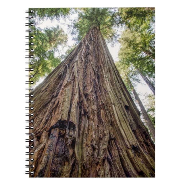 Roosevelt Notizblock (Vorderseite)