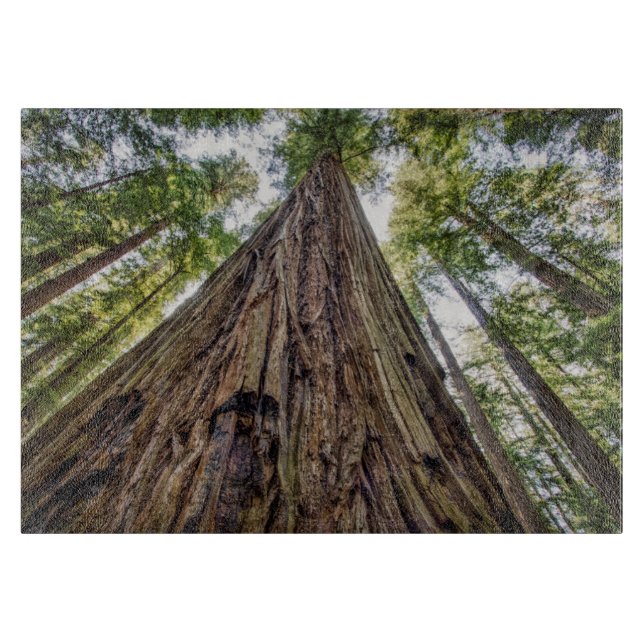 Roosevelt Schneidebrett (Vorderseite)