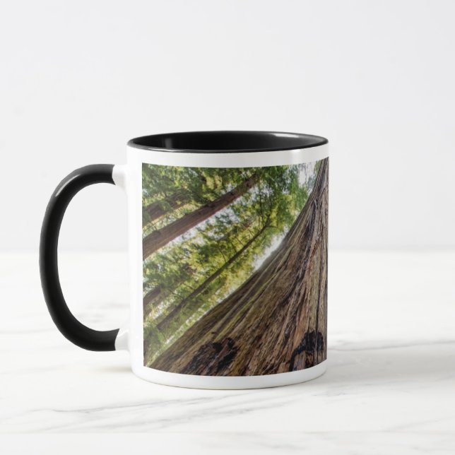 Roosevelt Tasse (Links)