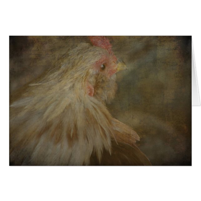 Rooster (Vorderseite (Horizontal))
