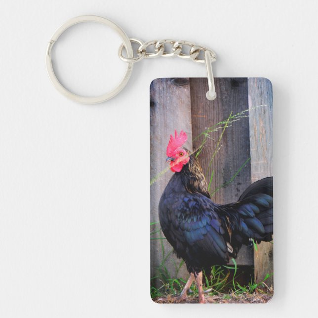 Rooster (Devant)