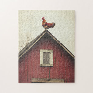 Rooster auf dem Dach