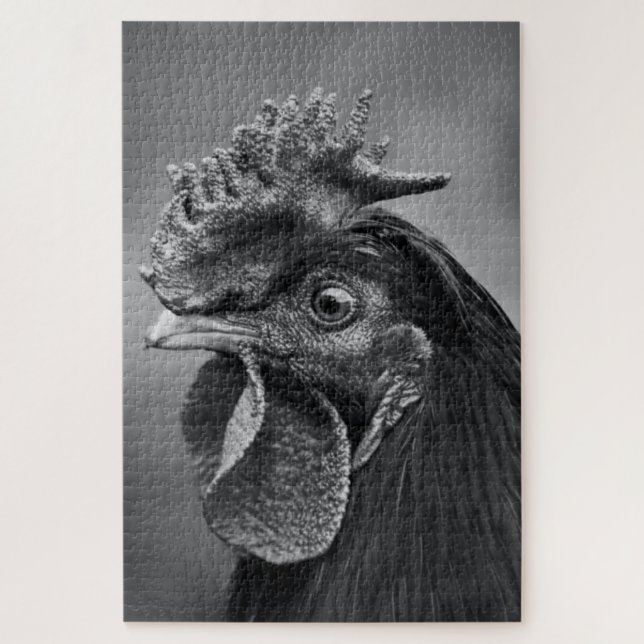 Rooster Black and White (Vertikal)