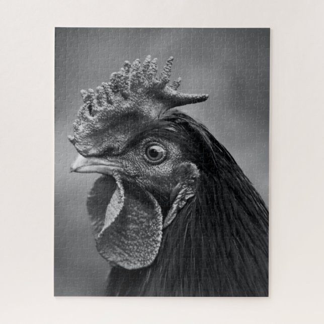 Rooster Black and White (Vertikal)