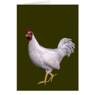 Rooster blanc