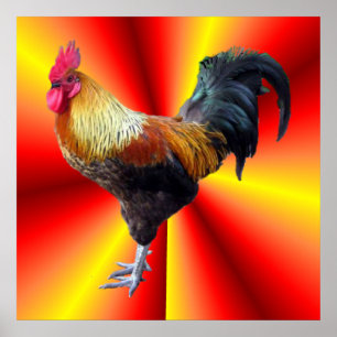 Rooster-Blitz Poster